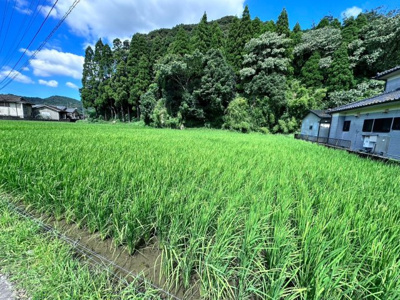 【外観】 | 霧島市国分川内
