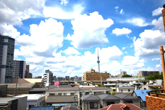 ライオンズマンション亀戸中央公園の展望