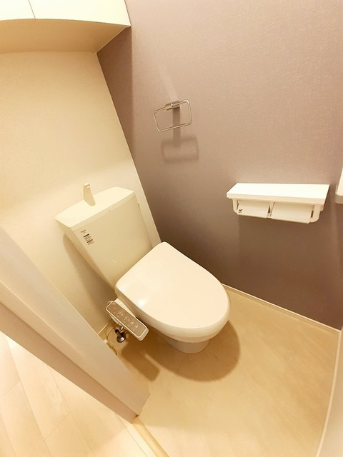 ＭＩＹＡＮＯＭＡＲＵ・南のトイレ|トイレ