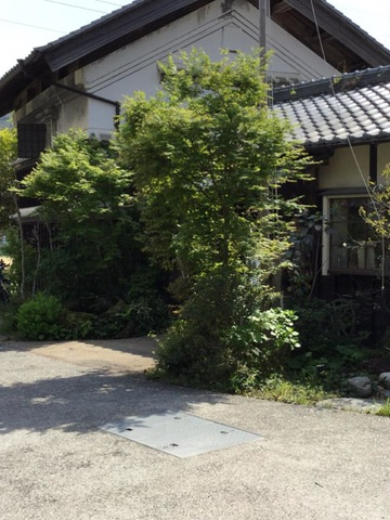 アビタシオンゆう|古民家レストラン土佐水木 0.5km