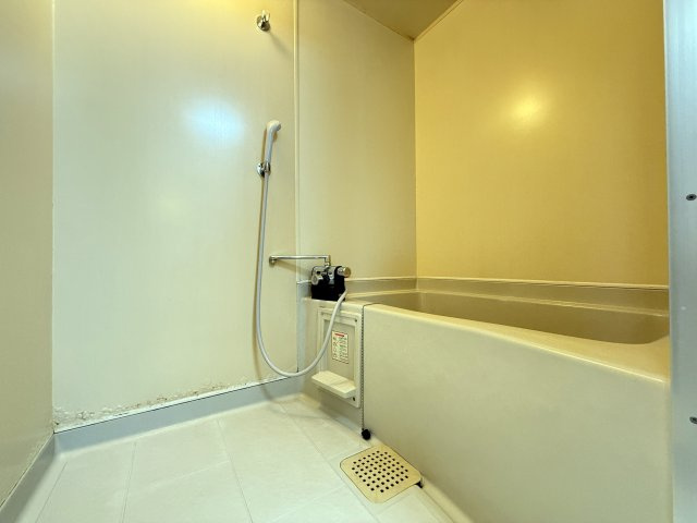 エスタンシアの浴室