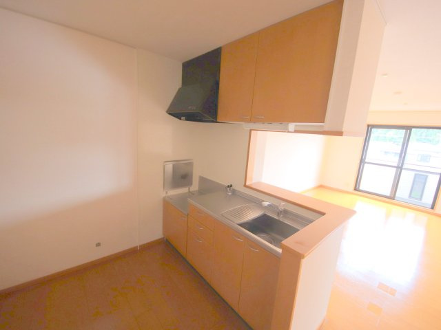 リビングタウン南生駒Bのキッチン