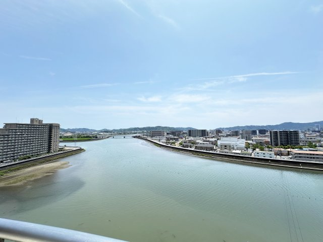 リップルガーデンⅡの展望
