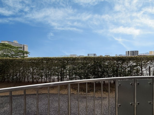 リップルガーデンⅡの展望