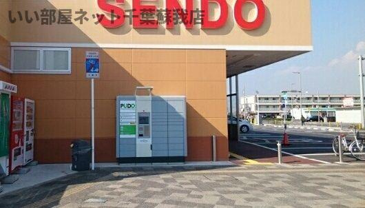 フェリスの周辺