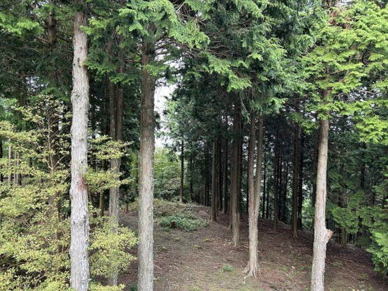 【展望】 | 東急天城高原別荘地　戸建