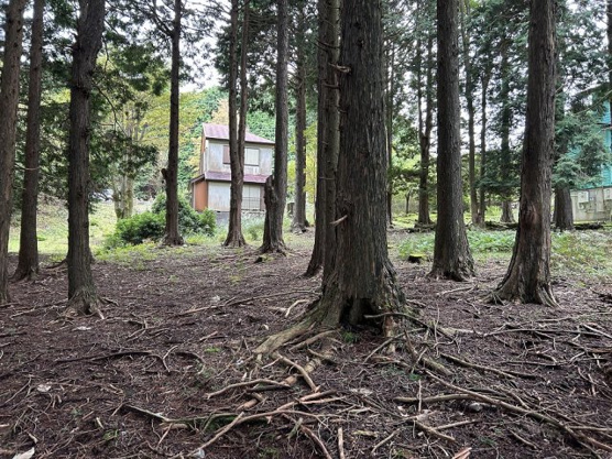 【庭】 | 東急天城高原別荘地　戸建