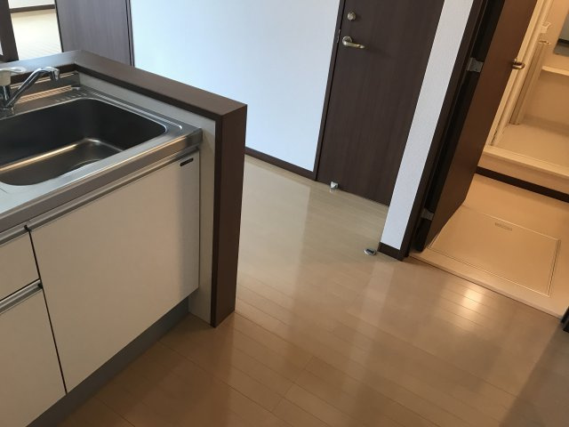 ステラート中央のその他