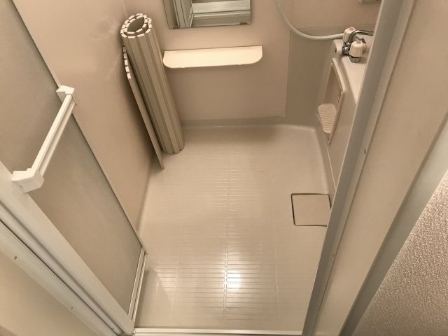 ステラート中央のその他