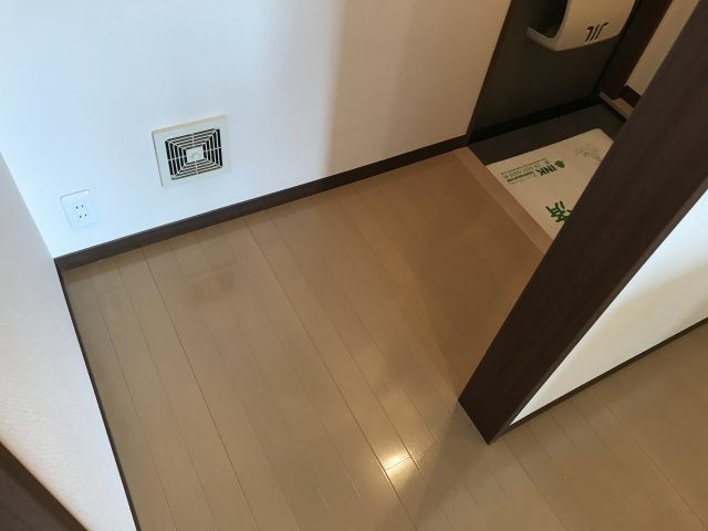 ステラート中央のその他