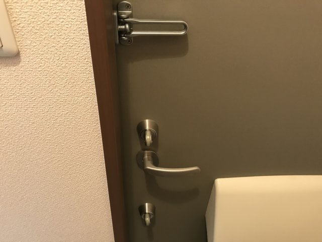 ステラート中央のその他