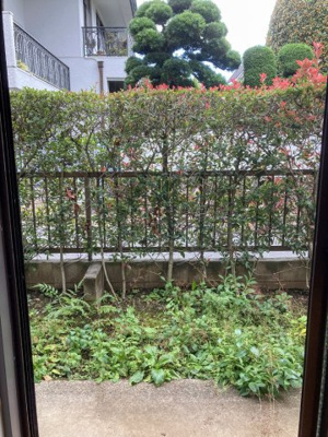 【展望】 | カーサ・デ藤原