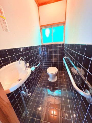 星野村10025-2のトイレ