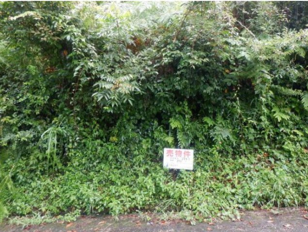 売土地　天竜区春野町堀之内