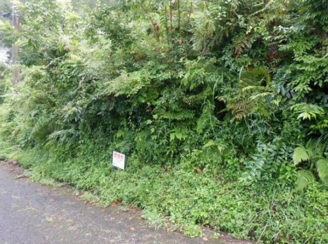 売土地　天竜区春野町堀之内の前面道路含む現地写真