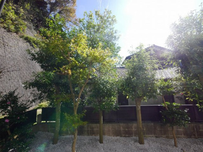 【展望】 | 鎌倉ピュアハイム