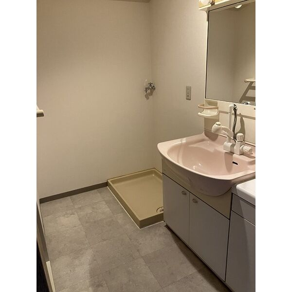 ロイヤルシャトー手柄南の洗面所