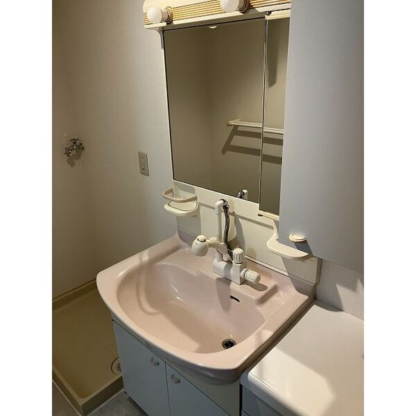 ロイヤルシャトー手柄南の洗面所