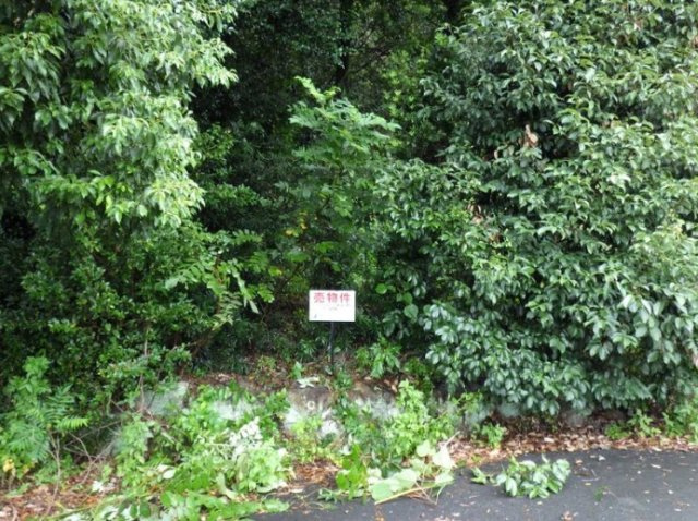 売土地　浜名区細江町気賀