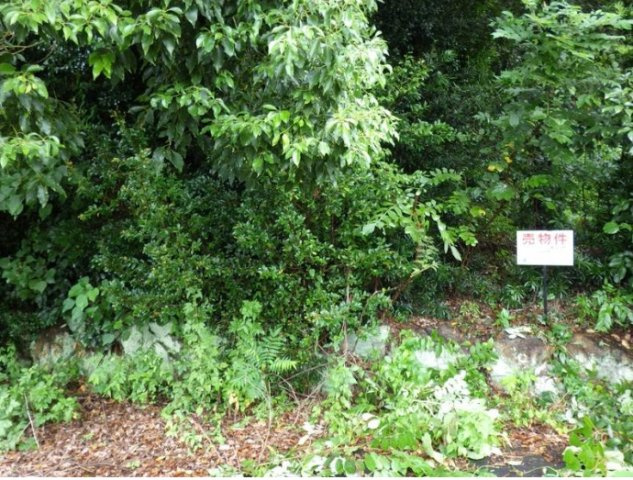 売土地　浜名区細江町気賀の外観