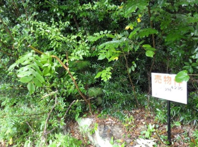 売土地　浜名区細江町気賀の外観