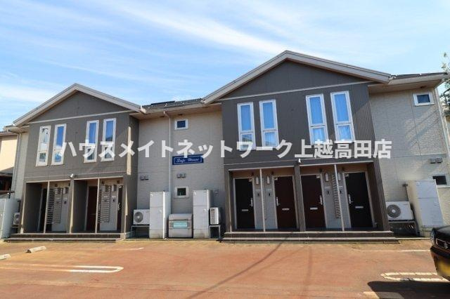 セーフハウス
