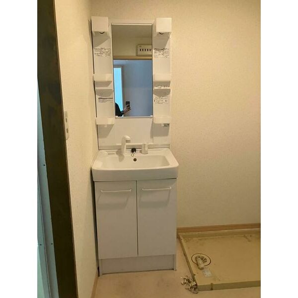 メゾン・ウィステリアの洗面所