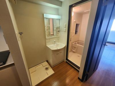 フェイバル二条の洗面所