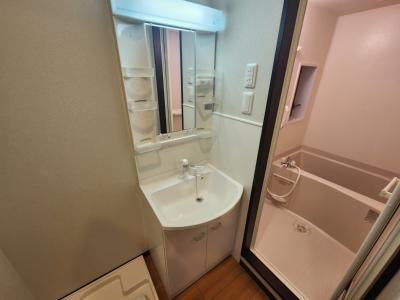 フェイバル二条の洗面所