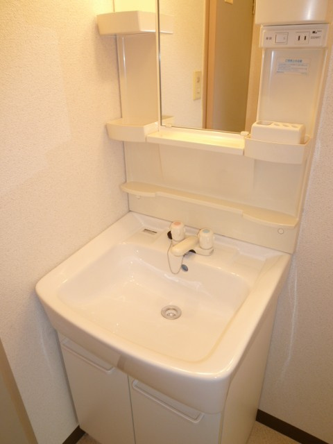 ドルミマンションの洗面所