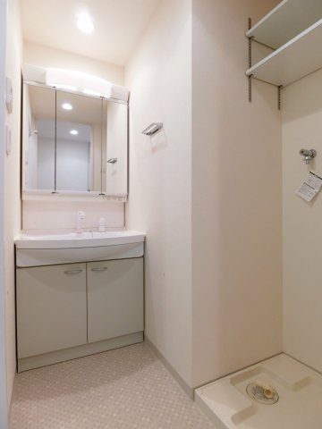 メゾンルミエールの洗面所