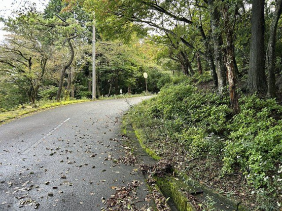 【外観】 | 東急天城高原別荘地　売地