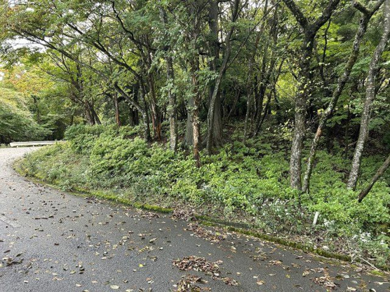 【外観】 | 東急天城高原別荘地　売地