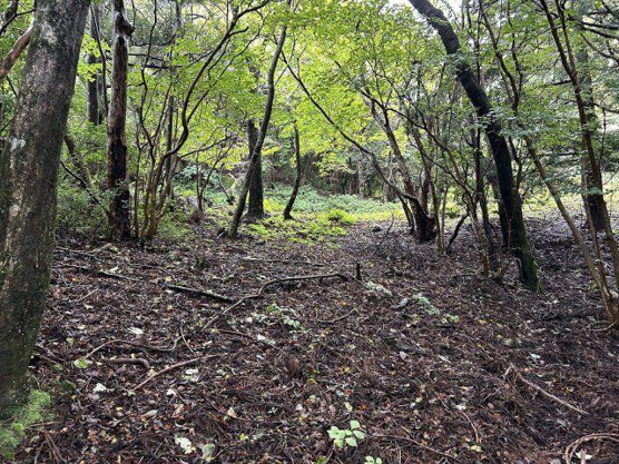 【外観】 | 東急天城高原別荘地　売地