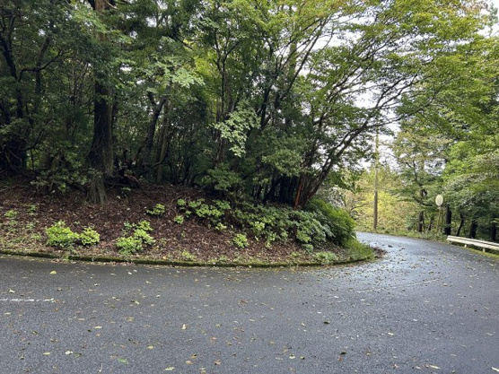 【外観】 | 東急天城高原別荘地　売地