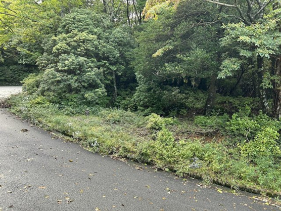 【外観】 | 東急天城高原別荘地　売地