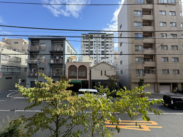 マイキャッスル入谷の展望