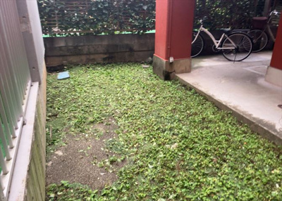 【外観】 | パーソナルハイツ相模原