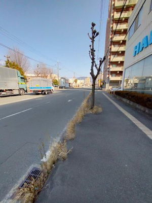 【周辺】 | ミフネセントラルベア荒本