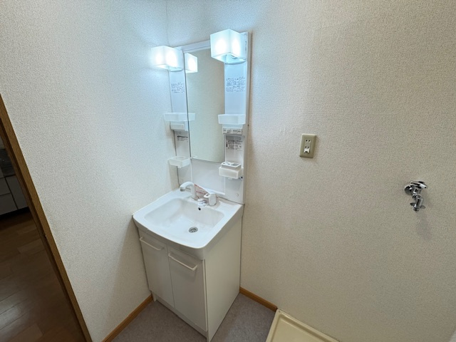 サウスタウンFの独立洗面台