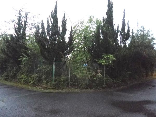 高島市マキノ町西浜1440-15　売土地