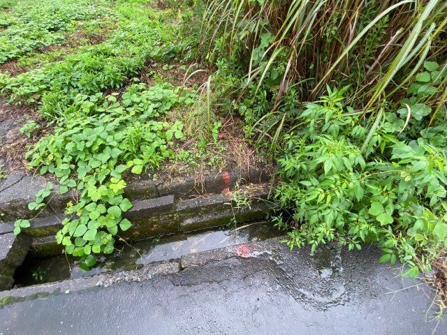 高島市今津町北仰字町田217-23　土地の外観