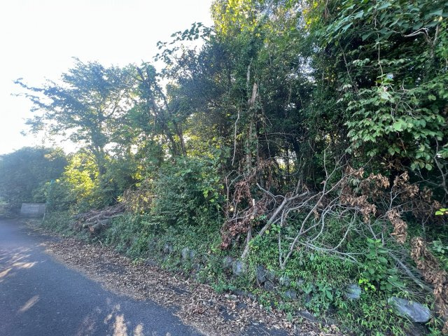 大津市南小松1594-290　売土地の前面道路含む現地写真