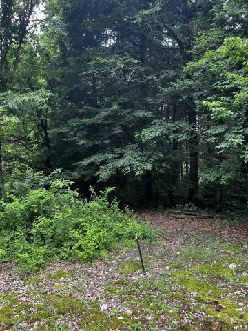 高島市安曇川町中野1032番7　売土地の外観