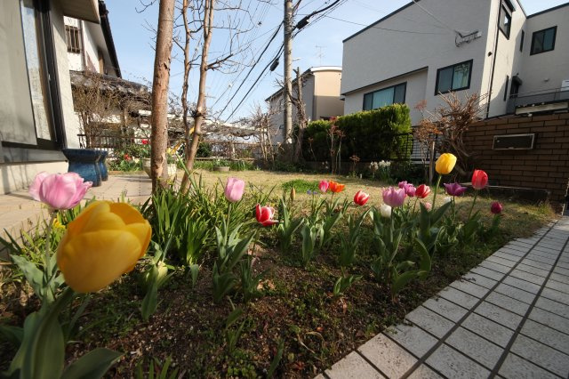 大津市仰木の里東5丁目11-15　中古戸建の庭