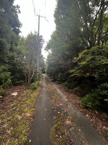 大津市南小松1833-10　売土地の前面道路含む現地写真