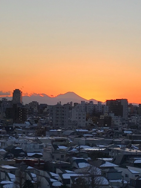 エール文京の展望