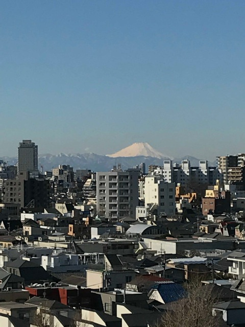 エール文京の展望