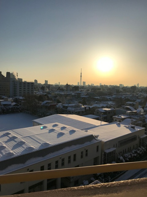 エール文京の展望