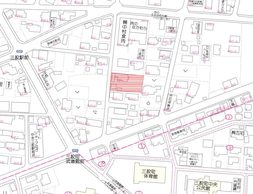 北諸県郡三股町大字樺山の売地の土地図